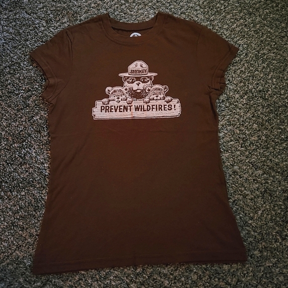 Smokey Bear Prevent Wildfires Graphic Tee T-Shirt Brown Medium - Picture 1 of 7